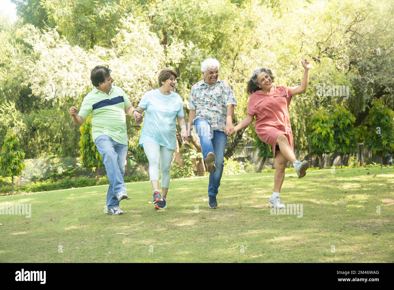 Group of happy indian senior men and women laughing and dancing together in summer park. Retirement life, retired people enjoying in garden. having fu Stock Photo