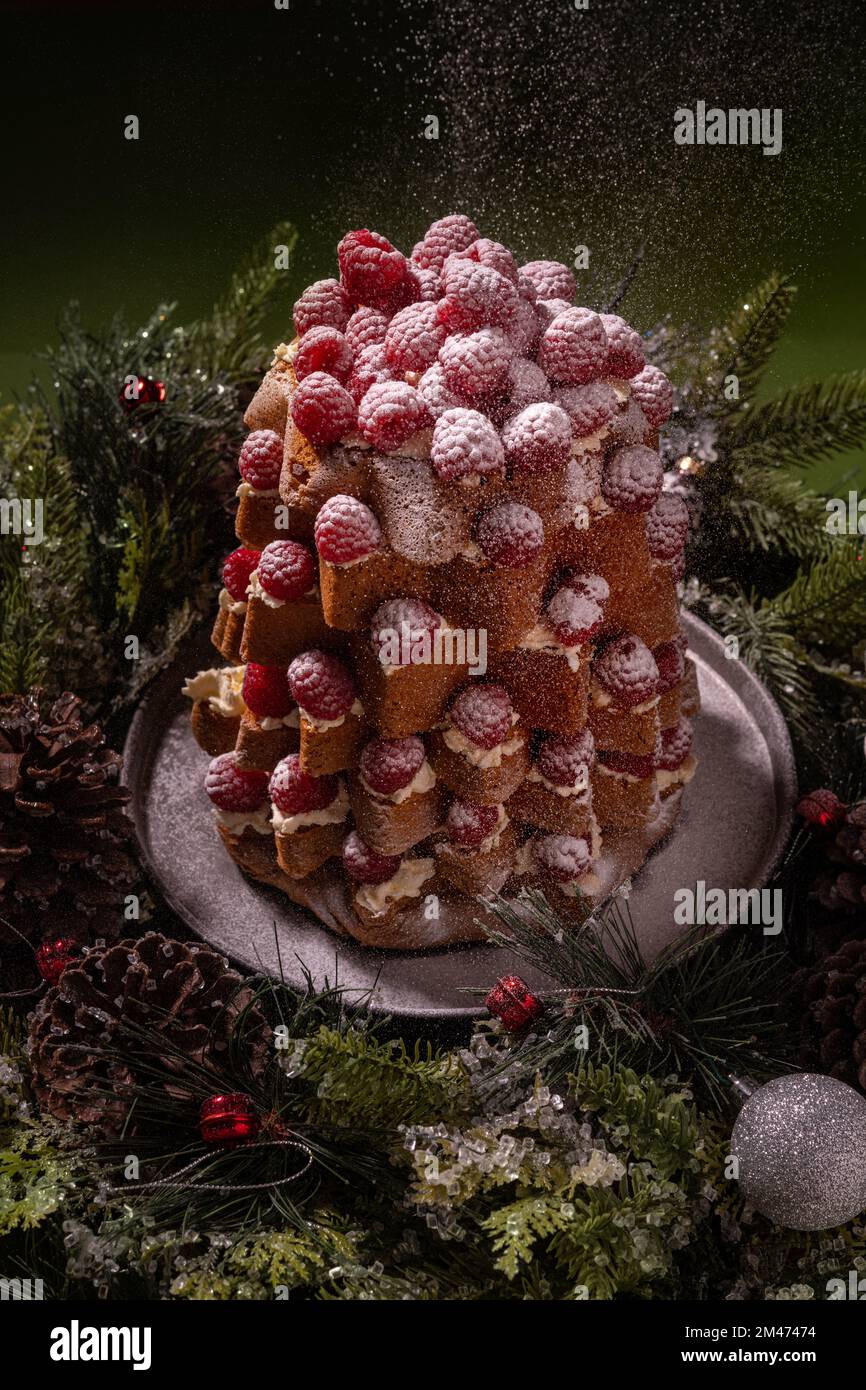 https://c8.alamy.com/comp/2M47474/christmas-raspberry-decorated-italian-sweet-bred-pandoro-pan-doro-dusted-with-icing-sugar-on-green-background-2M47474.jpg