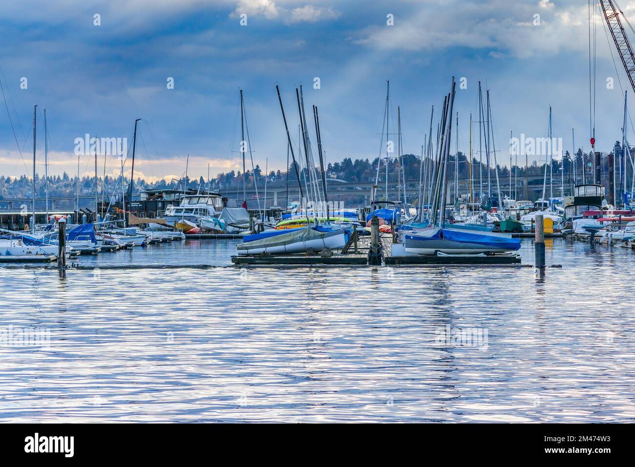 An illustration of the marina at the Leschi area of Seattle, Washington