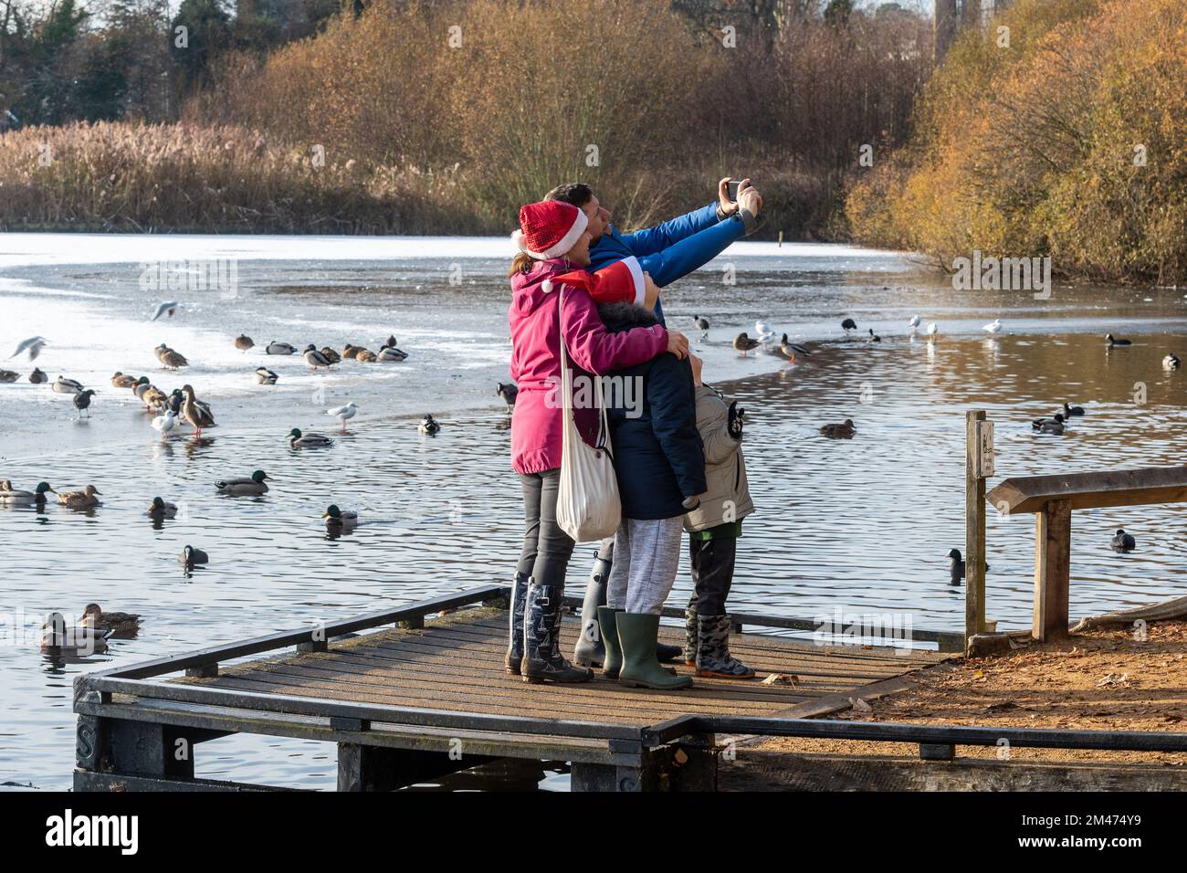 Families enjoying a winter walk around a frozen Fleet Pond feeding the ducks and swans and taking selfies in December 2022, Hampshire, England, UK Stock Photo