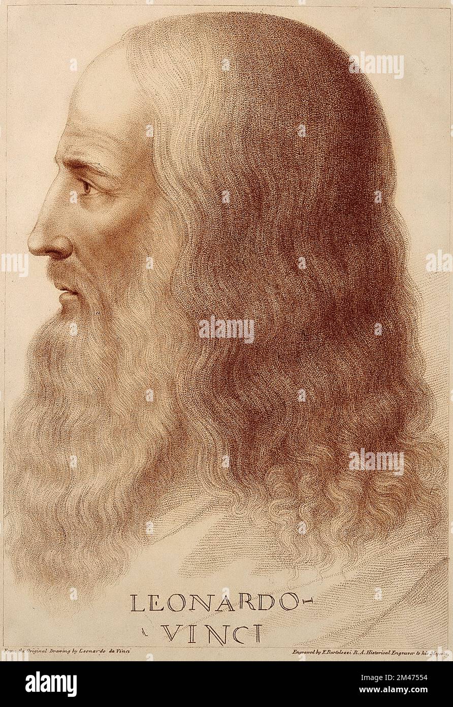 Leonardo da Vinci - Portrait by Leonardo da Vinci. Stipple engraving by F. Bartolozzi, 1795 from original Drawing bby Leonardo da Vinci Stock Photo