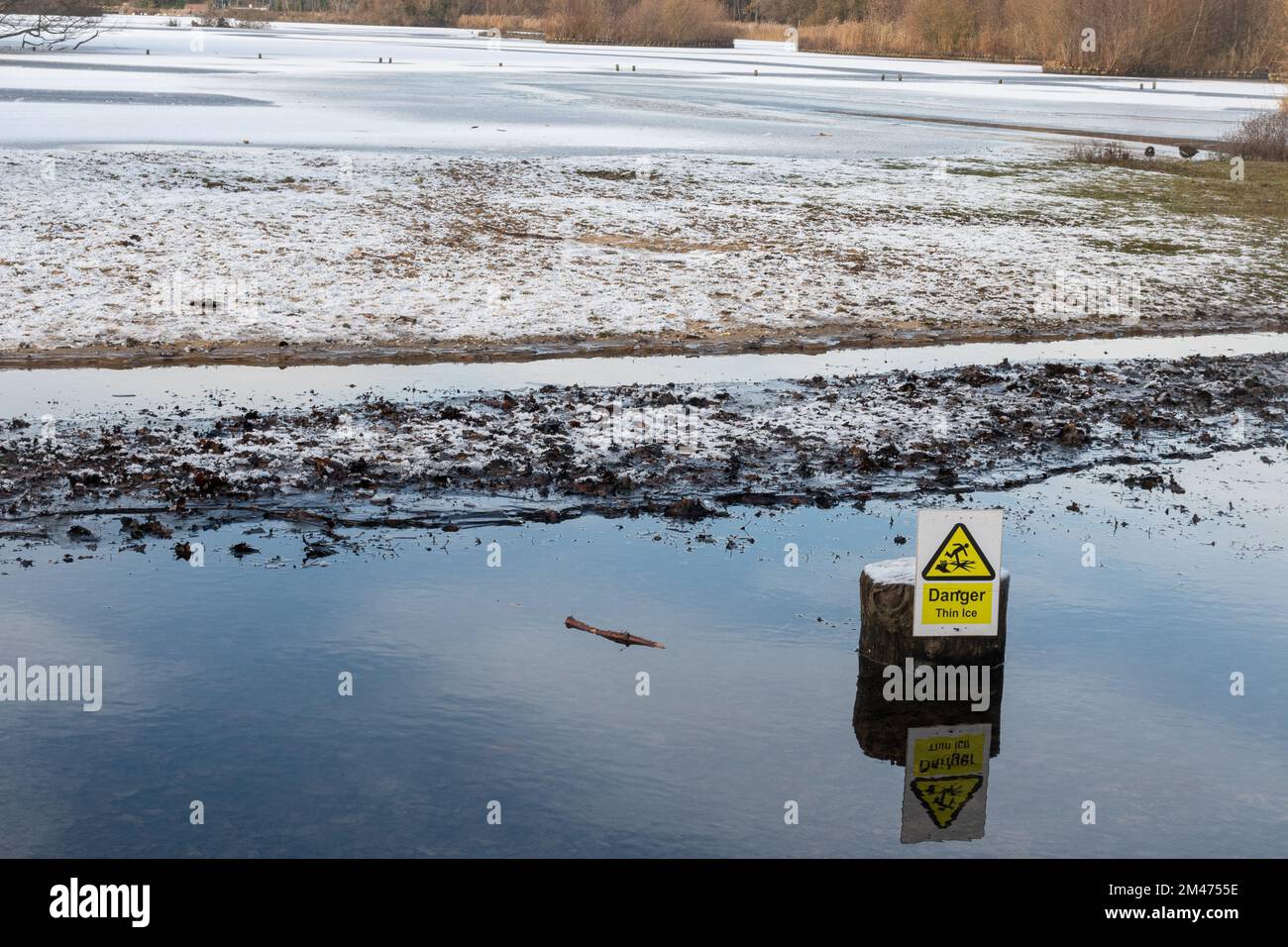 Danger Thin Ice warning signs beside a frozen lake, Fleet Pond, Hampshire, England, UK Stock Photo