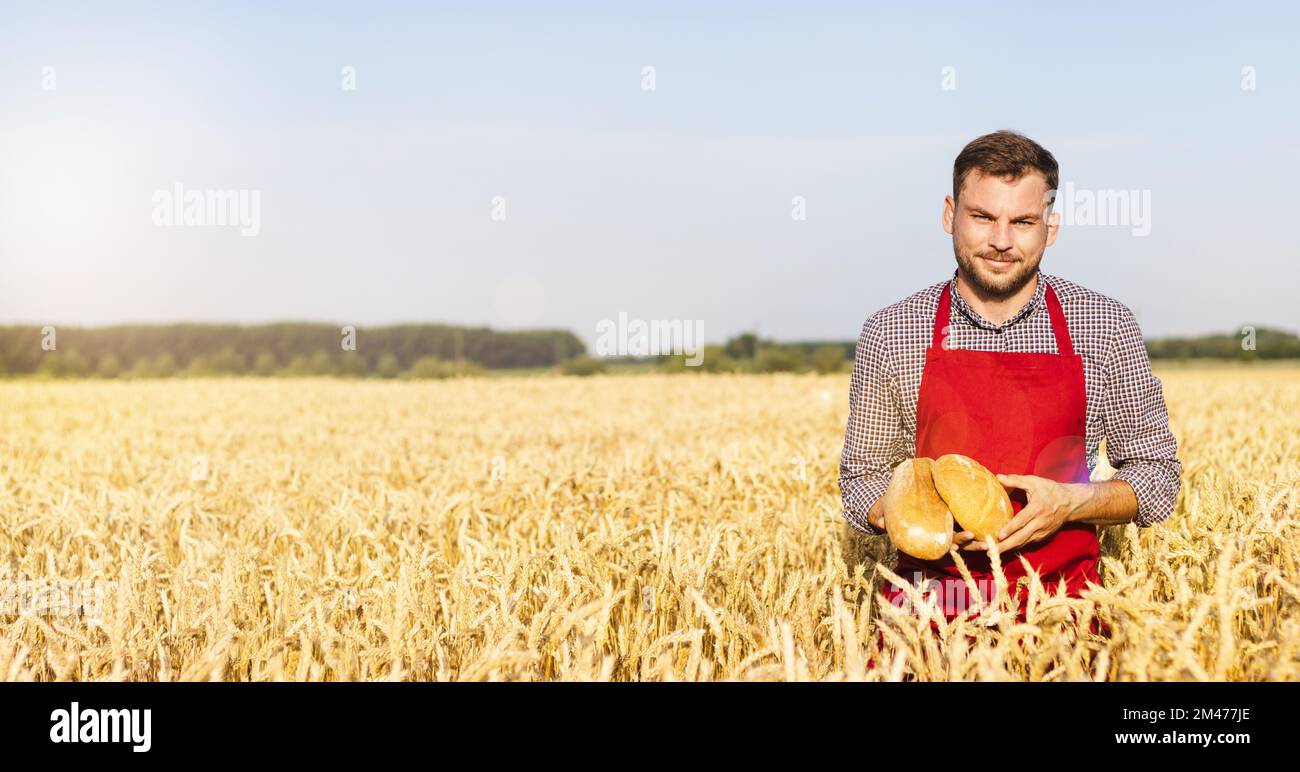 Man wearing apron holding bread in his hands while standing on wheat field. Stock Photo