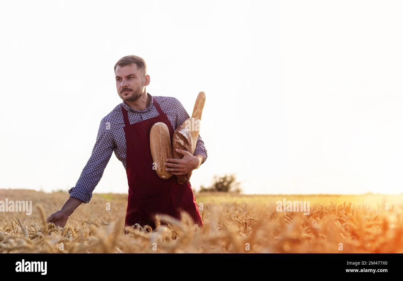 Farmworker holding loaves of bread in his hands while walking in the wheat field. Stock Photo