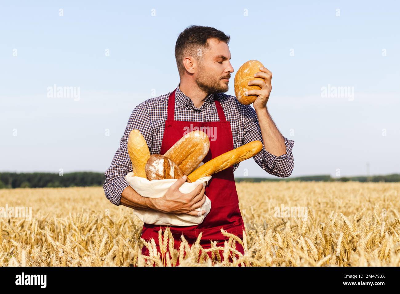Man in apron standing in wheat field and smelling fresh bread. Stock Photo