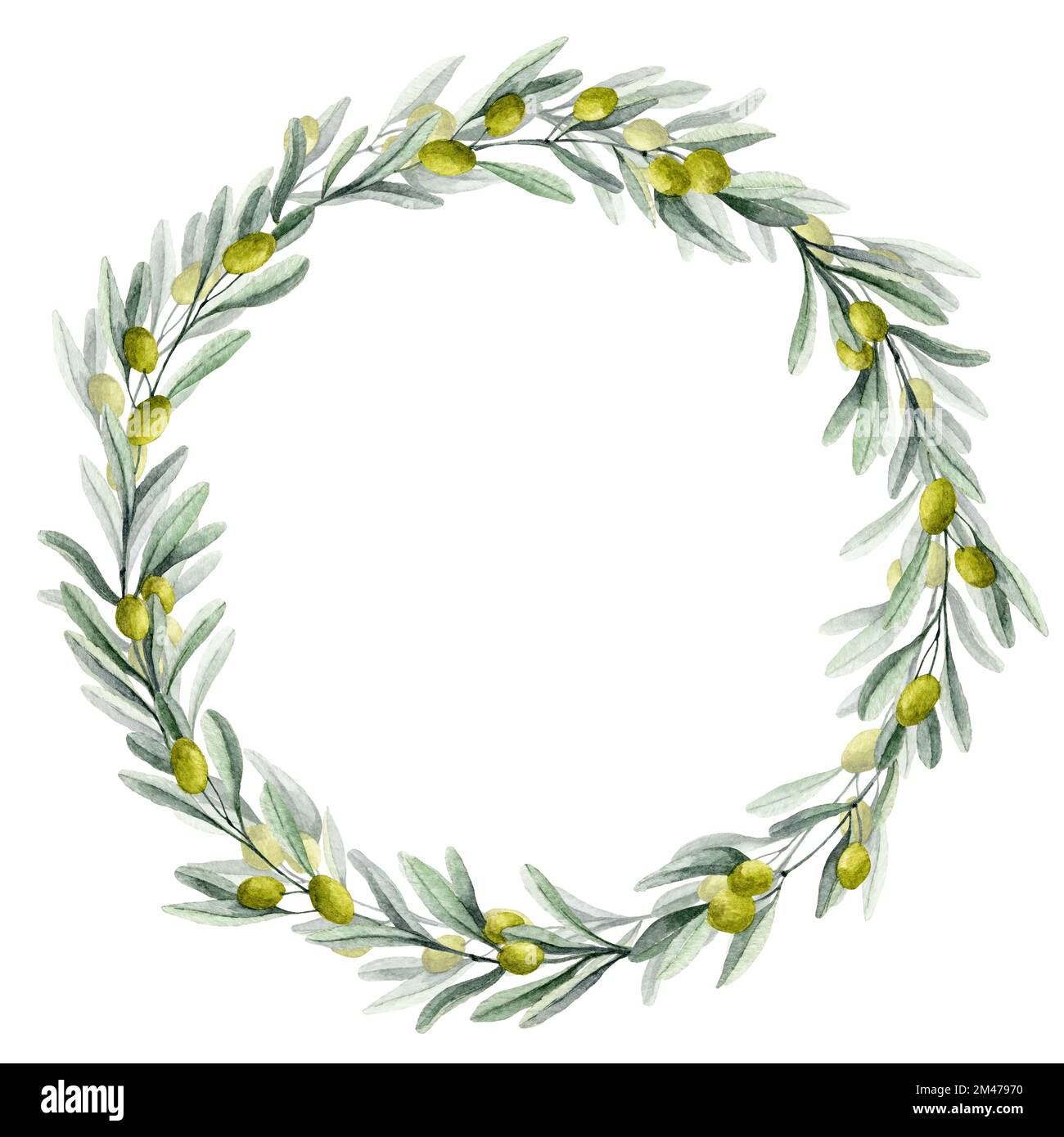 Watercolor Olive round Wreath with green leaves and fruits. Circle Frame for wedding invitations or greeting cards. Hand drawn floral illustration on isolated background. Botanical drawing of laurel. Stock Photo