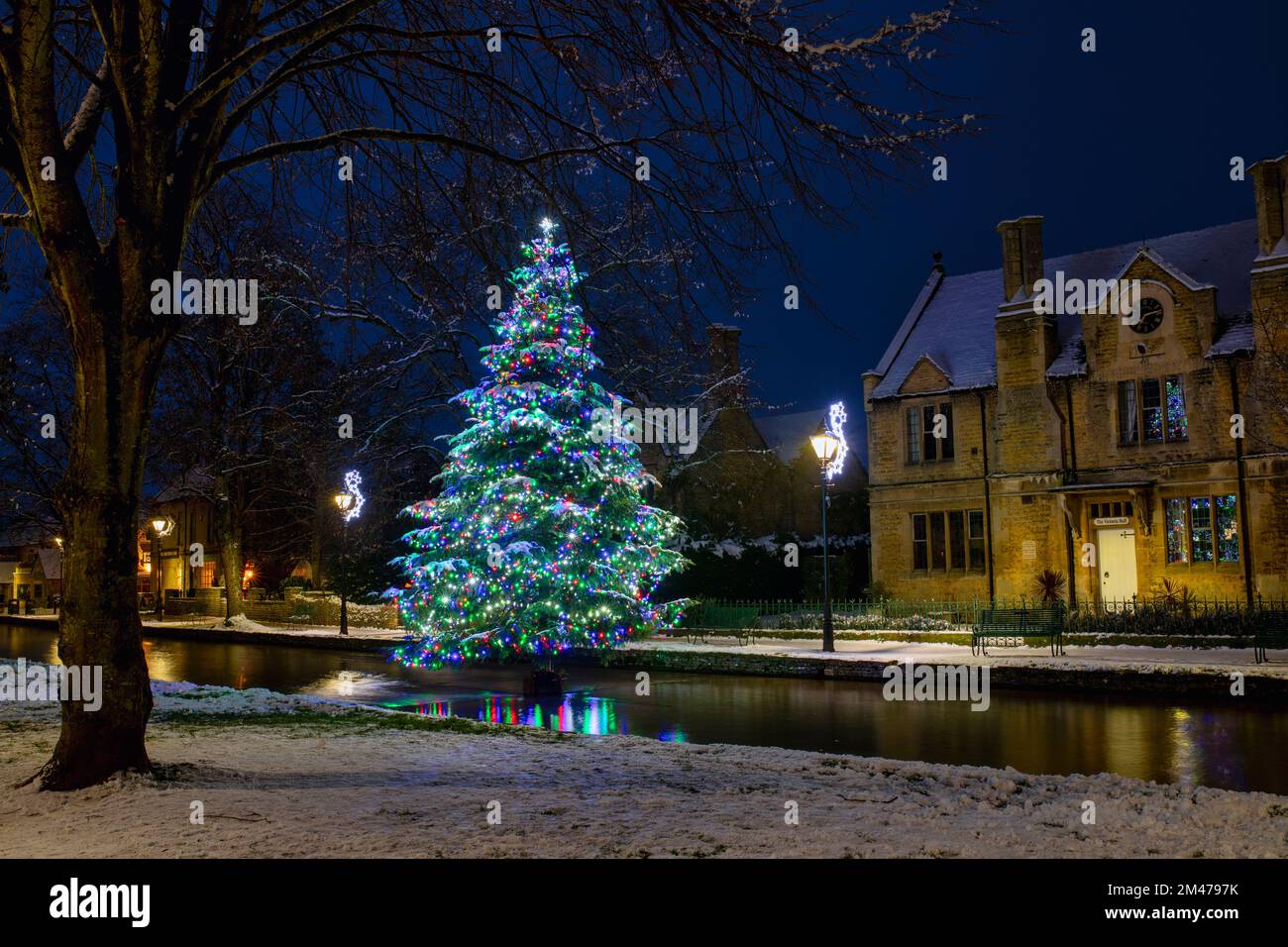 Christmas tree in the snow at dawn. Bourton on the Water, Cotswolds, Gloucestershire, England