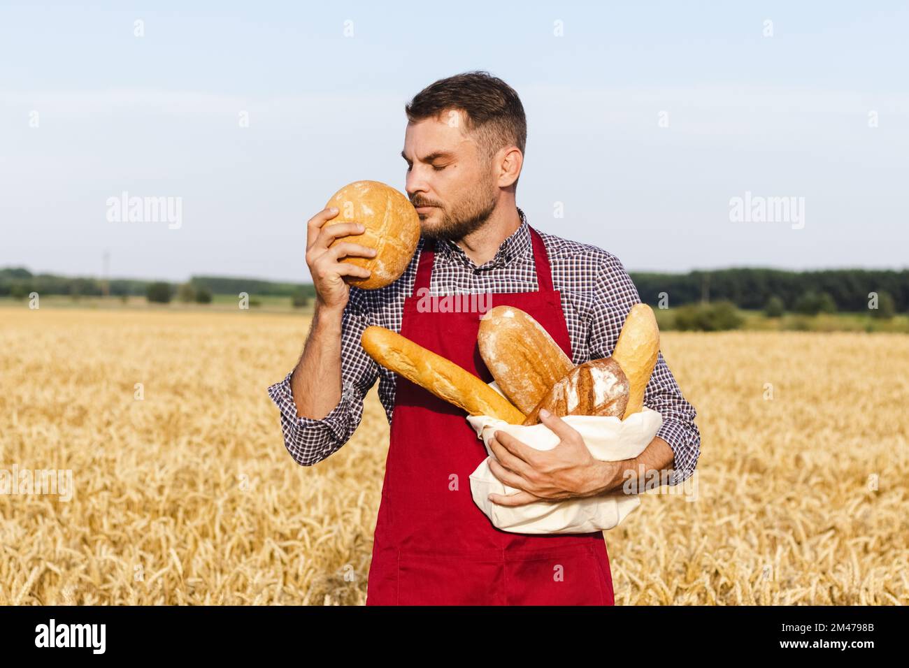 Man in apron standing in wheat field and smelling fresh bread. Stock Photo