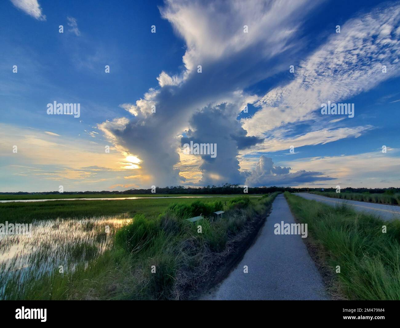 A beautiful landscape of a road through green fields on Kiawah Island