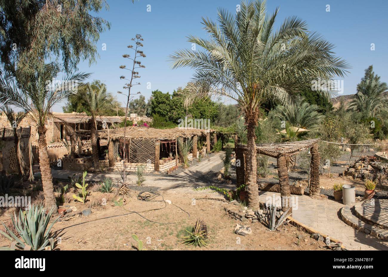 Outdoor area of rural eco lodge in egyptian villlage with desert garden and palm trees Stock Photo