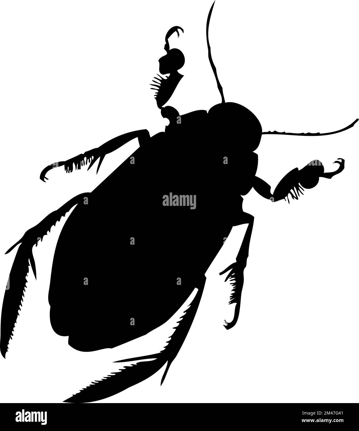 Silhouette of beetle. Beetle close-up detailed. Vector beetle icon on ...