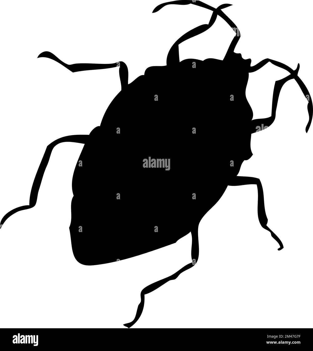 Silhouette of bug. Bug close-up detailed. Vector bug icon on white ...