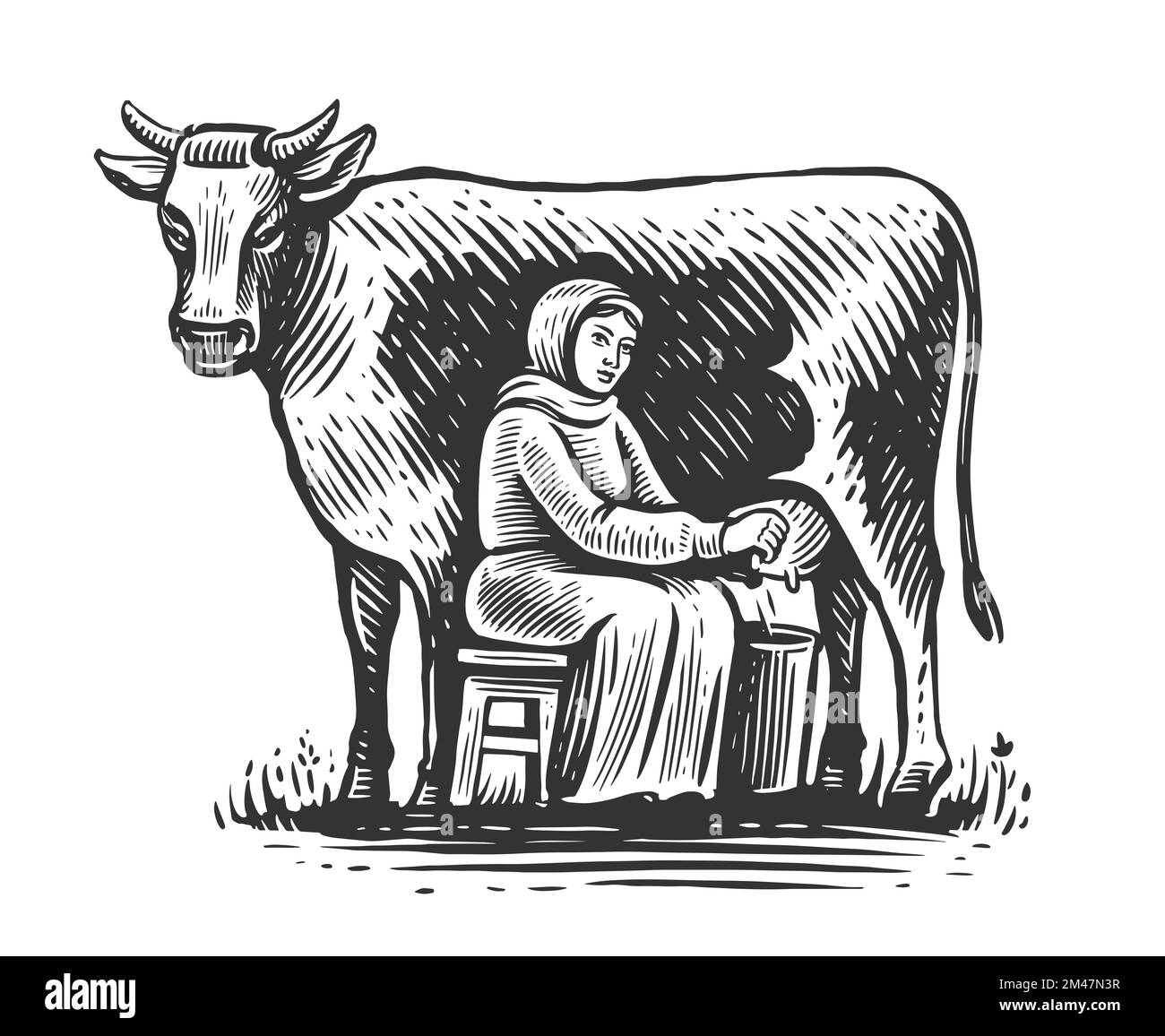 Milkmaid milking cow in vintage engraving style. Milk products industry. Cow milky farm eco business. Healthy nutrition Stock Photo