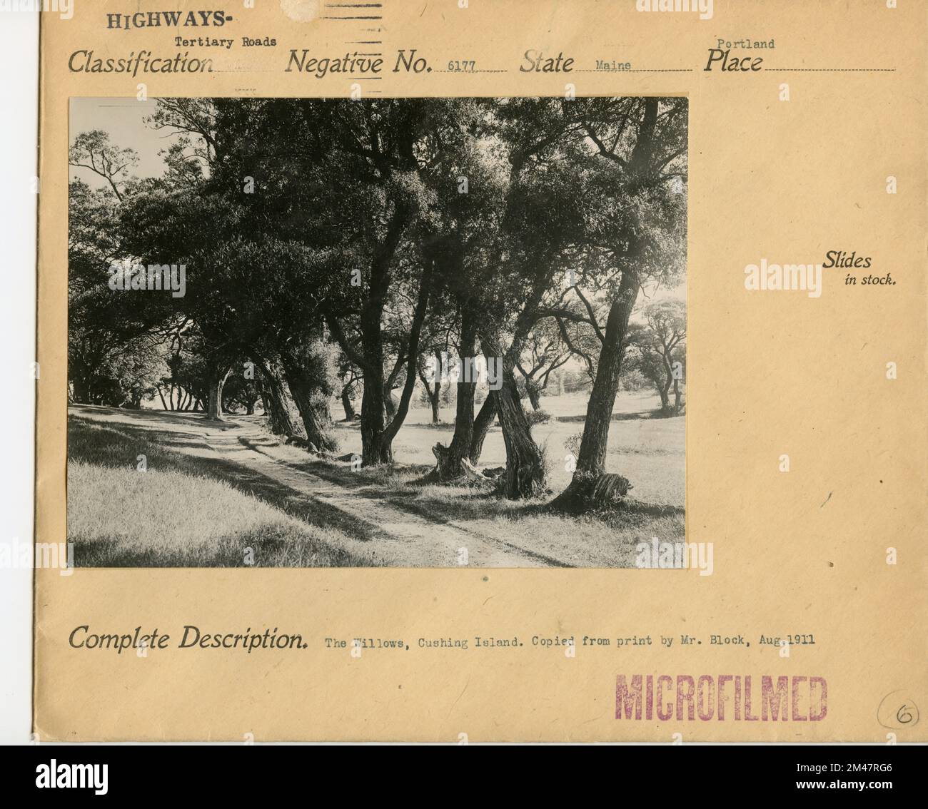 The Willows, Cushing Island. Original caption The Willows, Cushing