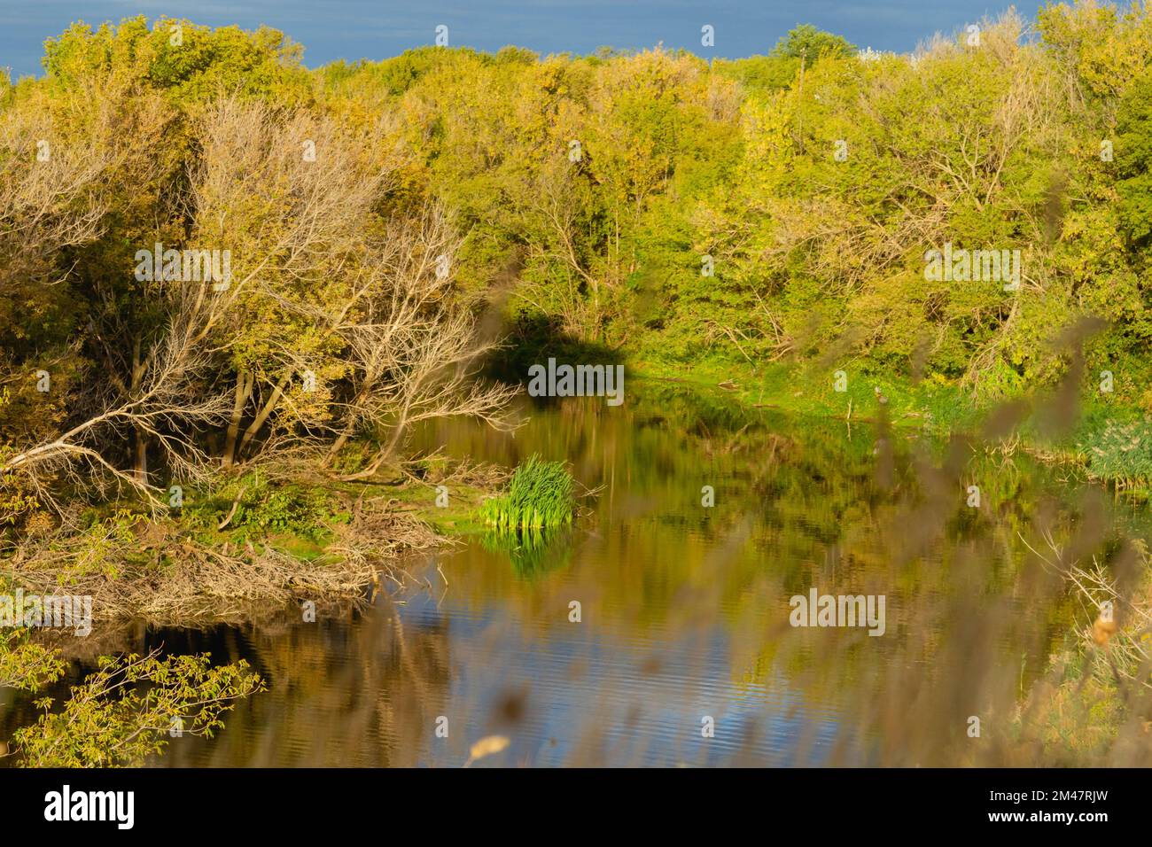 Beautiful sunset on river. Solar glare on water surface of river. Field illuminated by setting sun.. Stock Photo