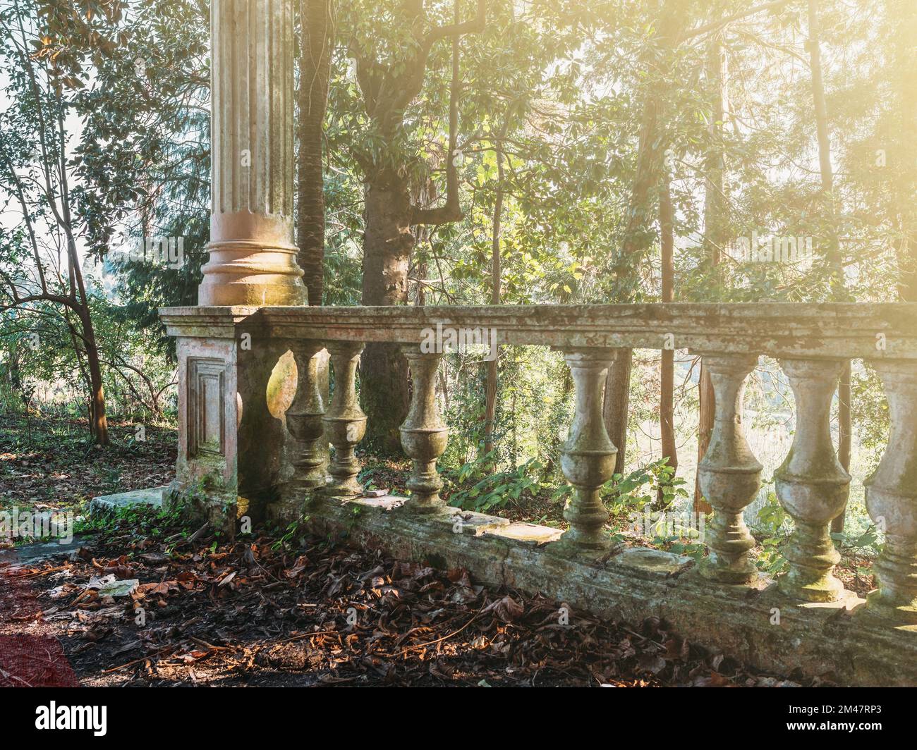 Stone railings with column in old abandoned mansion overgrown with green plants and forest in sunlight. Stock Photo