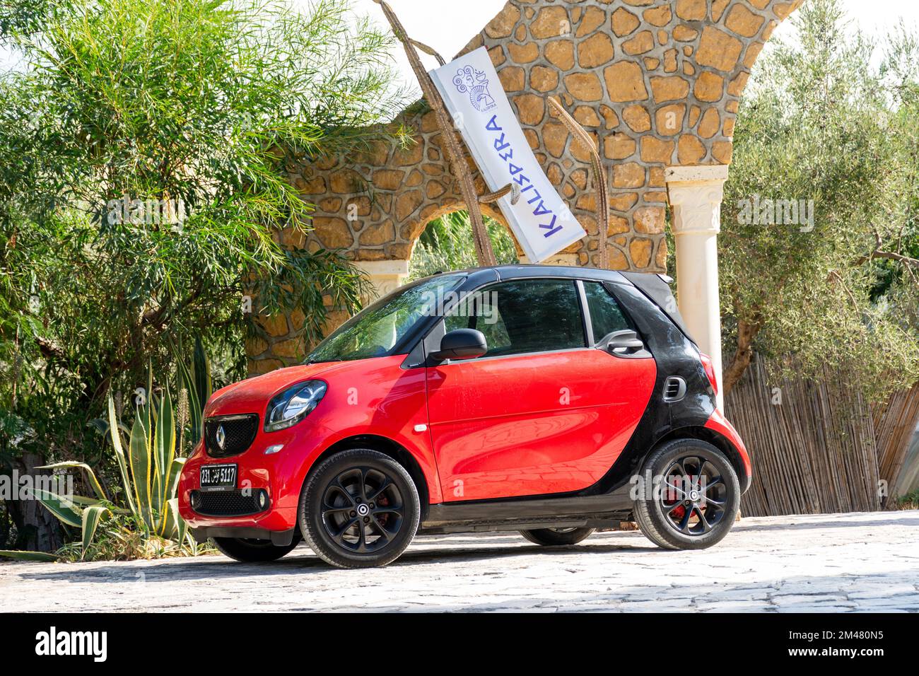 SMART FORTWO CABRIO smart-fortwo-453-brabus Used - the parking