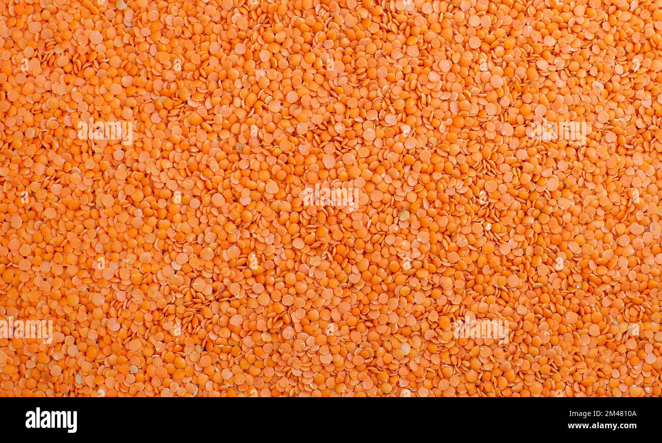 raw, natural, fresh lentils, isolated Stock Photo - Alamy