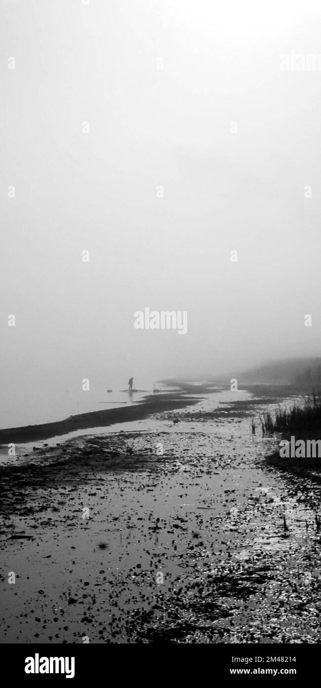 foggy day on a lakeshore Stock Photo - Alamy