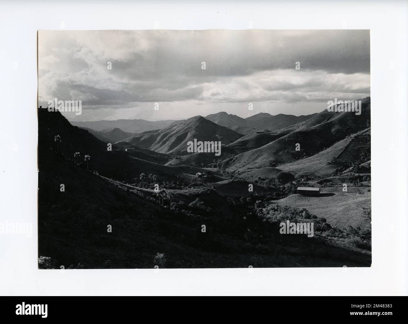puerto rico tobacco farms Tobacco Farming. Original caption: Near Cayey, Puerto Rico. Tobacco valleys  in the Upper La Plata Valley. State: Puerto Rico Stock Photo