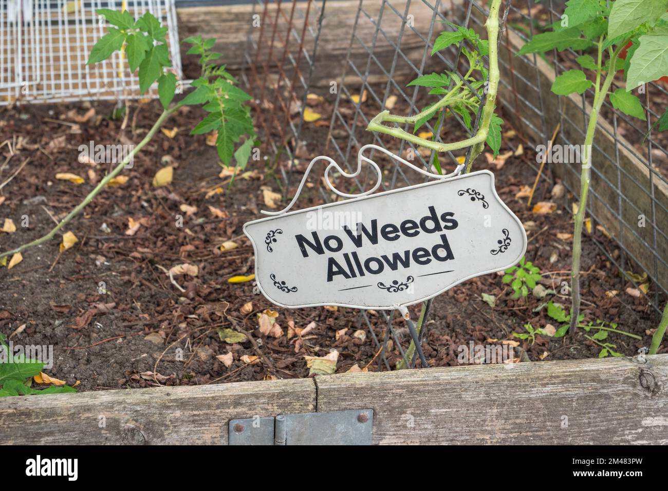 Amusing sign warning weeds that