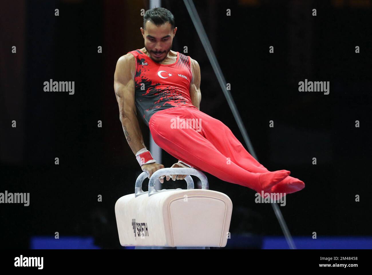 ARICAN Ferhat of Turkey during the MEN'S POMMEL HORSE FINAL at the