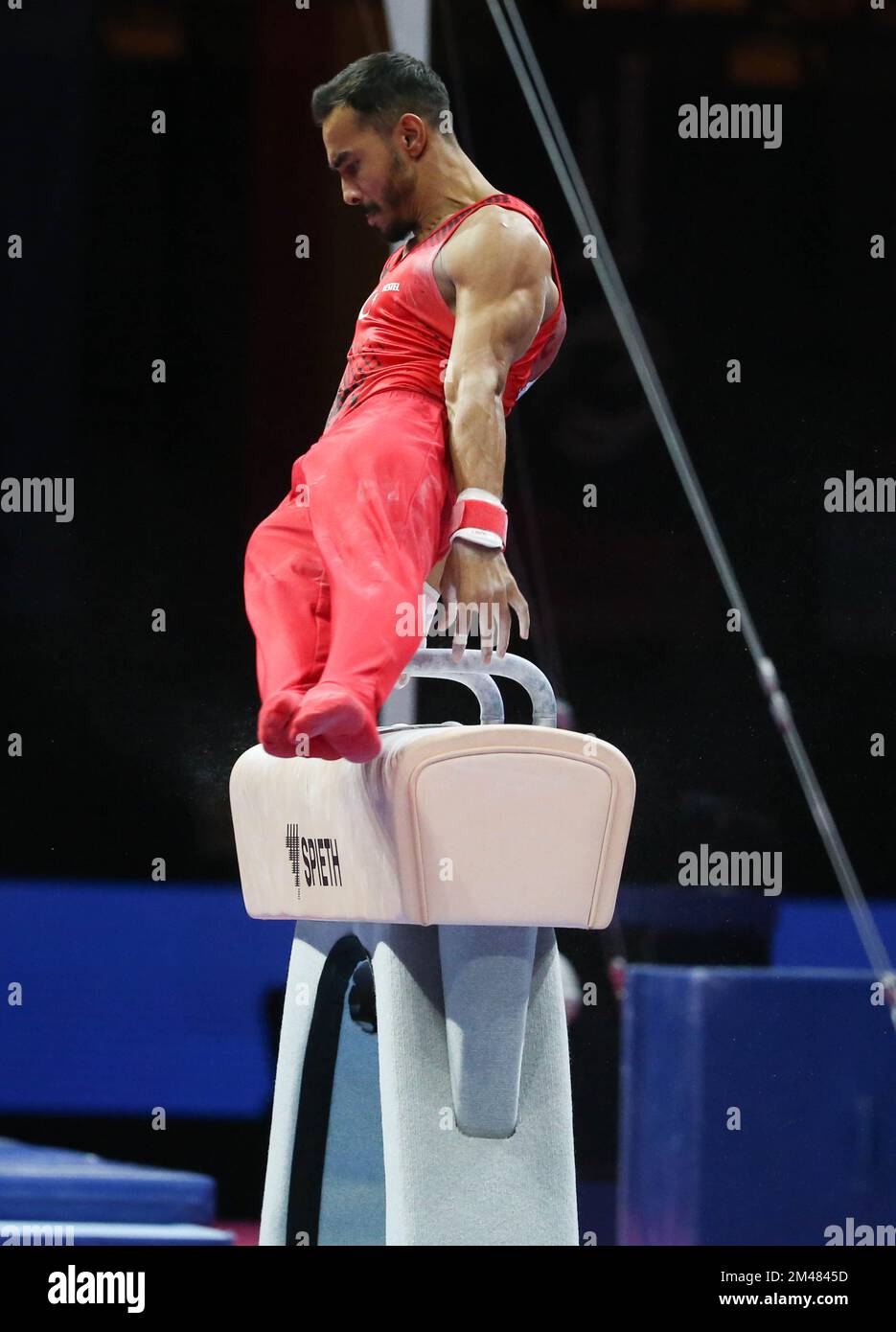 ARICAN Ferhat of Turkey during the MEN'S POMMEL HORSE FINAL at the