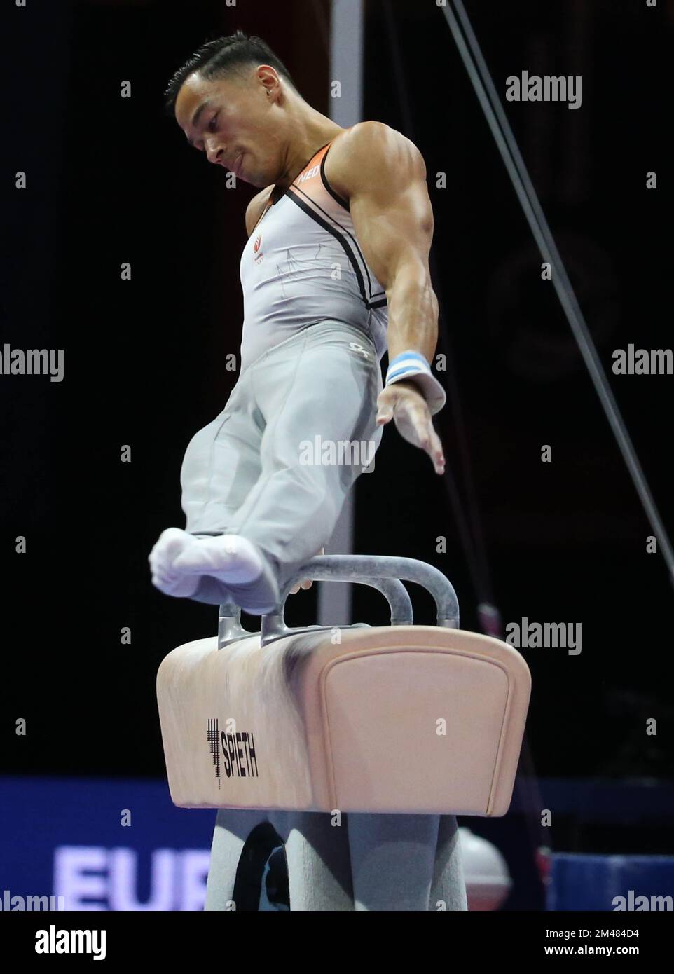DE MUNCK Loran of Netherlands during the MEN'S POMMEL HORSE FINAL at