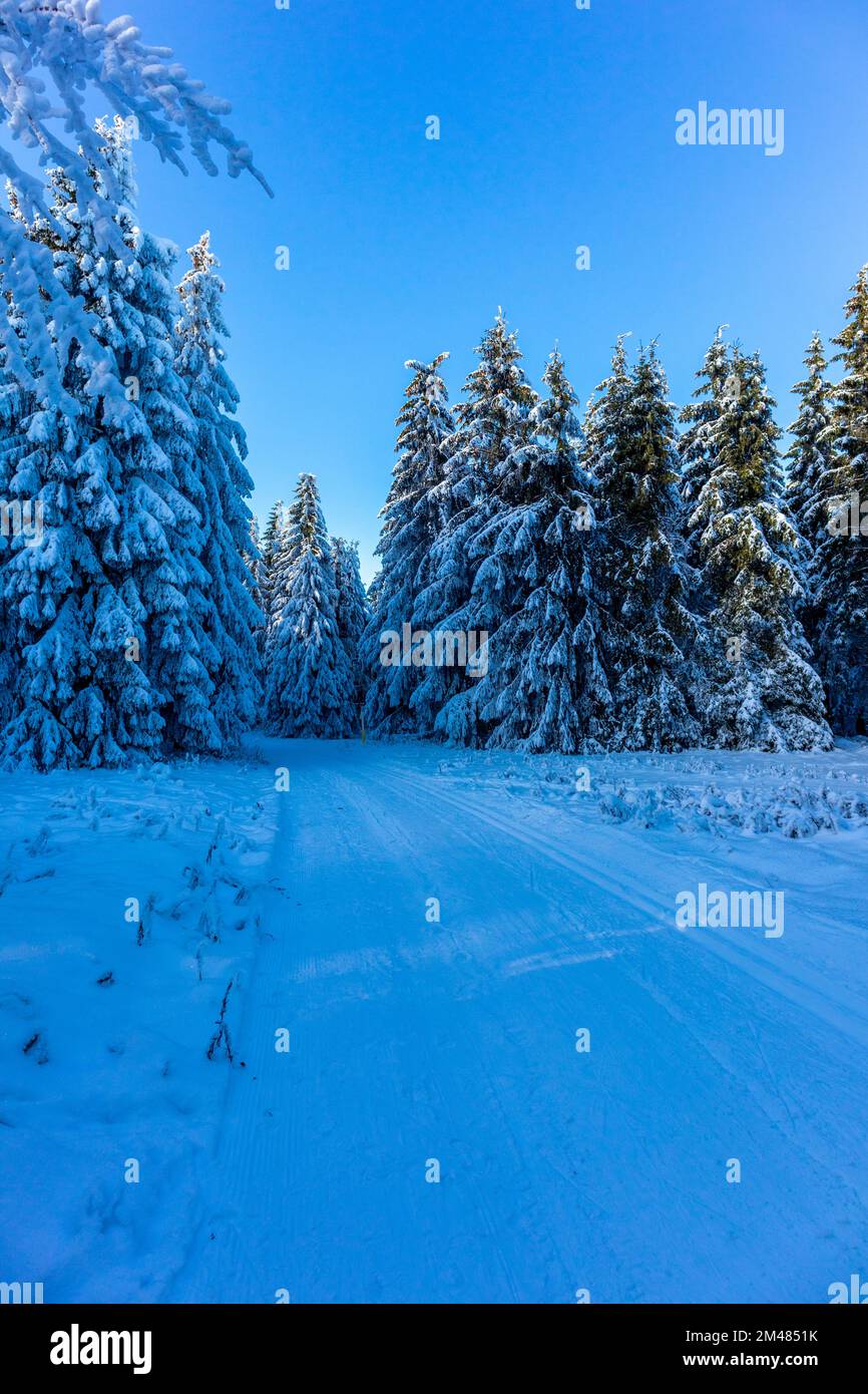 Thuringia Winter Beautiful winter landscape on the heights of the Thuringian Forest near ...