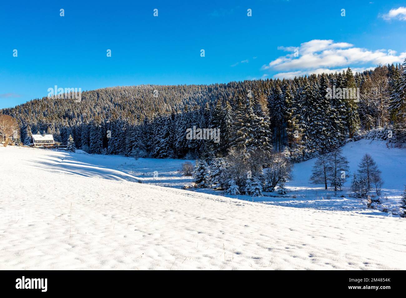 Beautiful winter landscape on the heights of the Thuringian Forest near ...