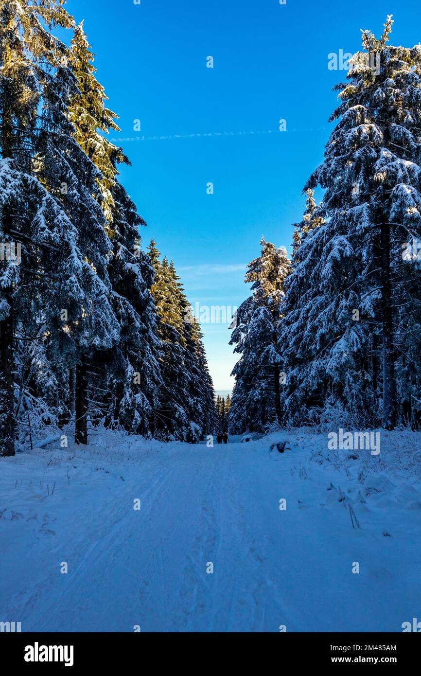 Thuringia Winter Beautiful winter landscape on the heights of the Thuringian Forest near ...