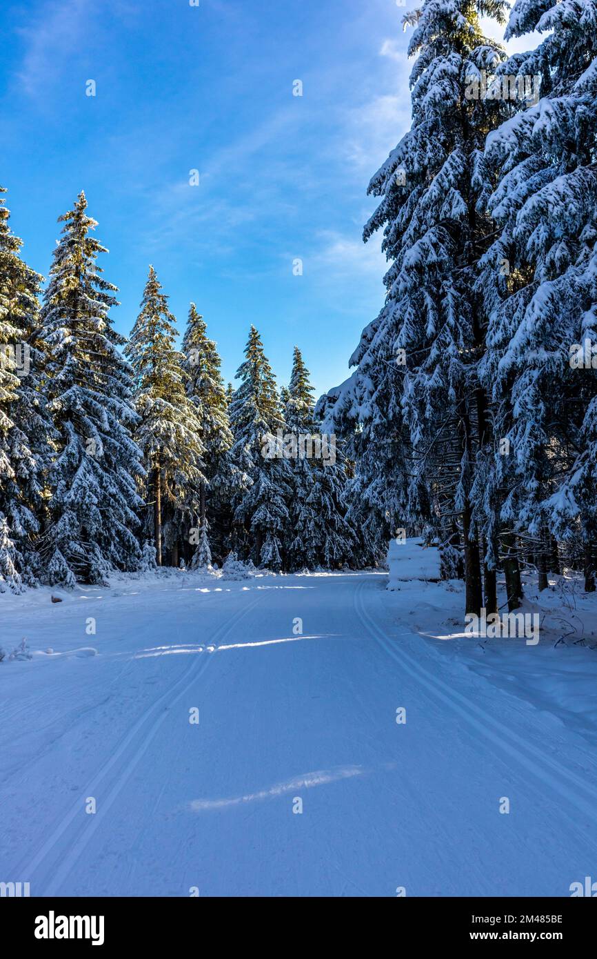Thuringia Winter Beautiful winter landscape on the heights of the Thuringian Forest near ...