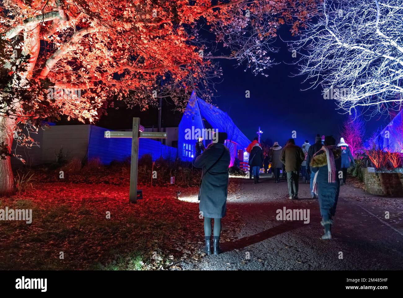 People looking at the illuminations, RHS Hyde Hall Garden Glow at Christmas, Chelmsford Essex Uk Stock Photo