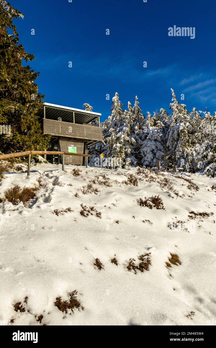 Beautiful winter landscape on the heights of the Thuringian Forest near Oberhof - Thuringia Stock Photo