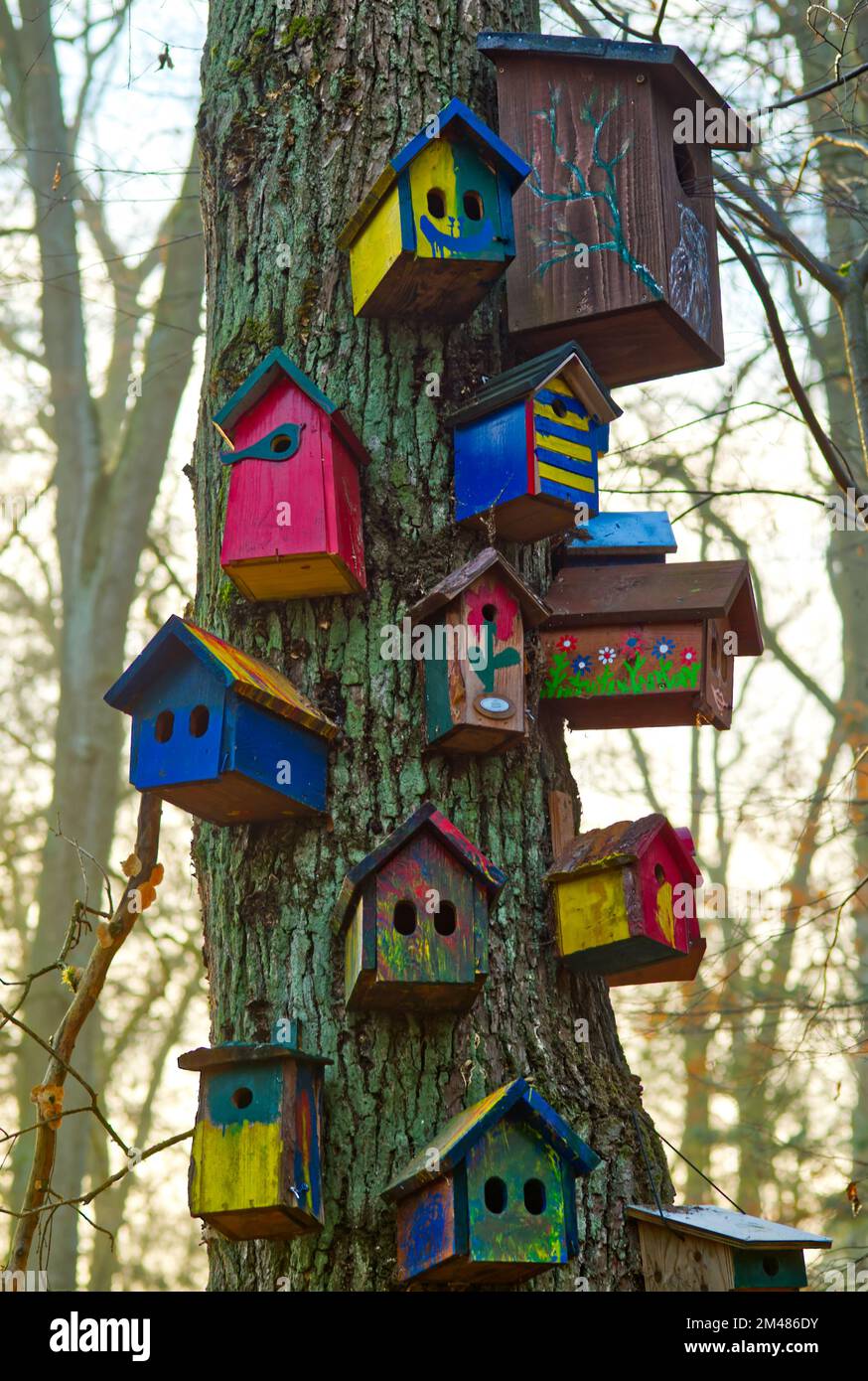 bunch of colorful bird boxes at an oak trunk (location: deer-park 'Alte Fasanerie', Hanau, Germany) Stock Photo