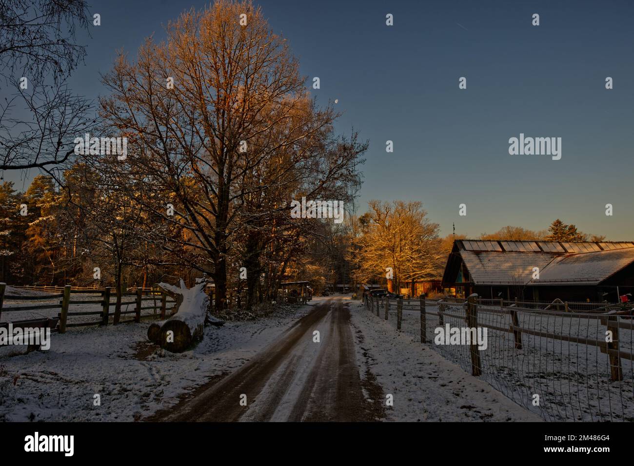 wide angle image of beautiful winter forest and a snow covered pathway ...