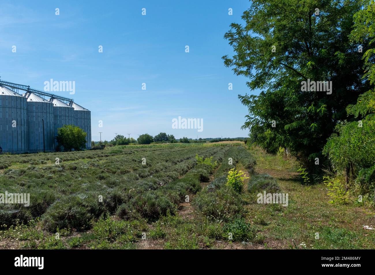 Field with building Stock Photo Alamy