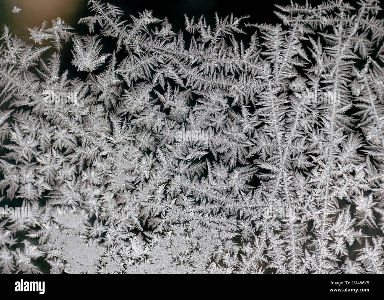 Frosty natural pattern at the hoarfrost covered window. Natural phenomenon concept. Abstract nature background. Stock Photo