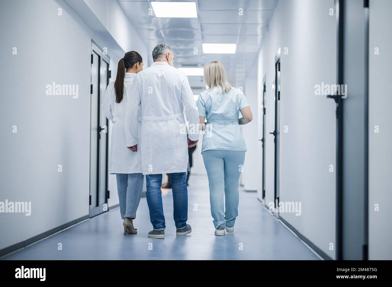Group of doctors in the clinic corridor Stock Photo