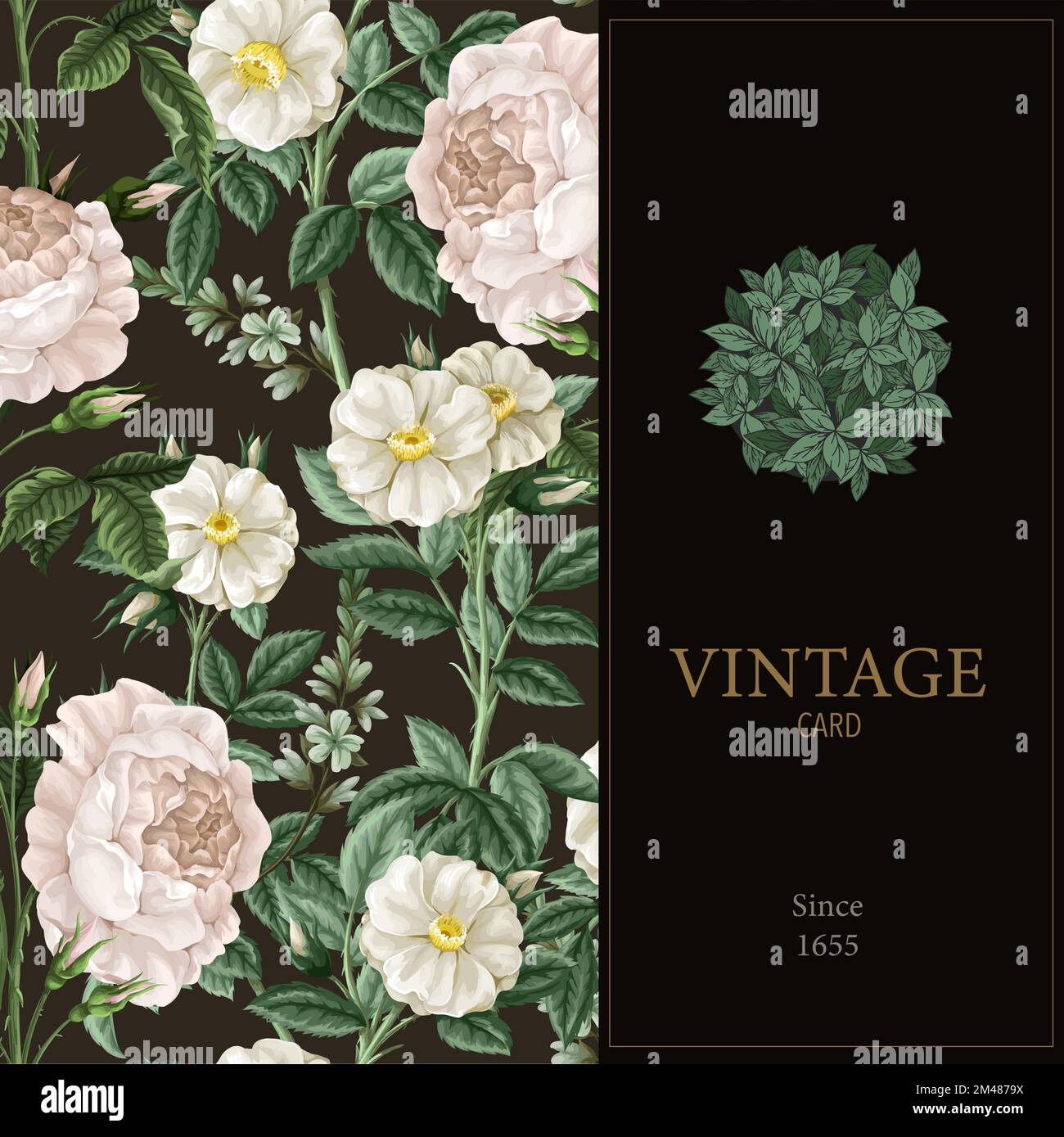 Card with botanical white roses in vintage style. Vector Stock Vector ...
