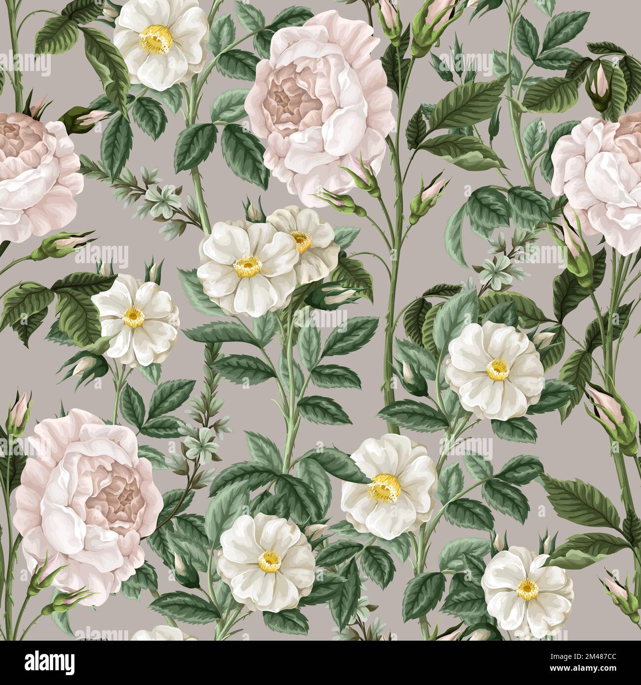 Seamless pattern with white roses. Vector. Stock Vector