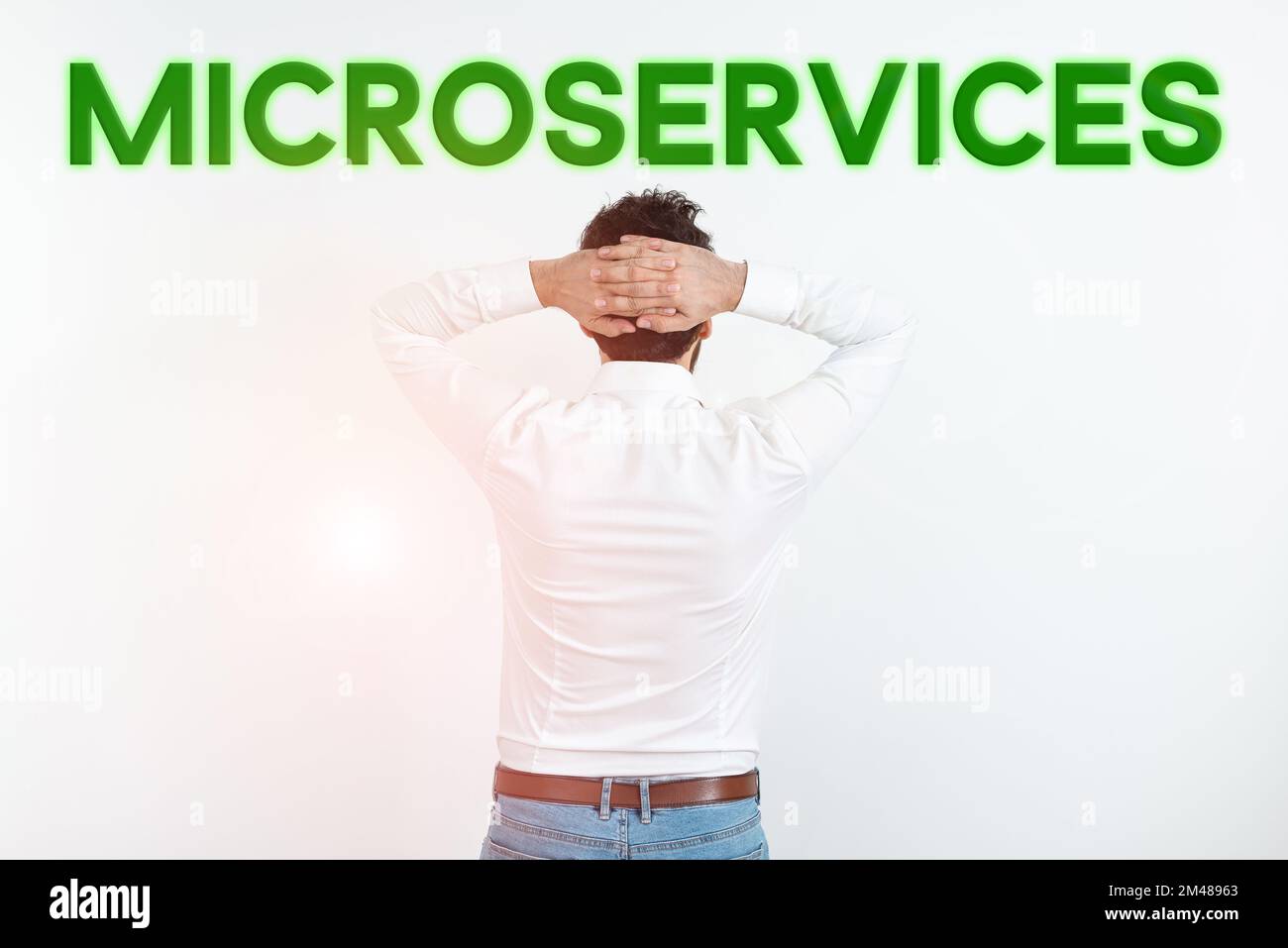 Conceptual display Microservices. Conceptual photo Software development technique Building single function module Stock Photo