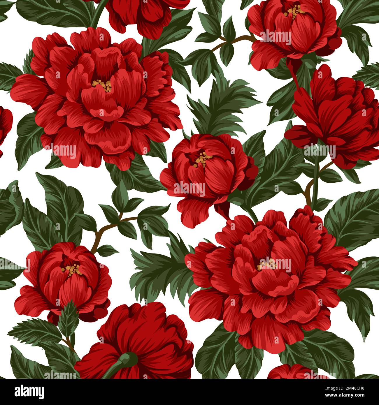 Seamless pattern with red peonies. Vector Stock Vector Image & Art - Alamy