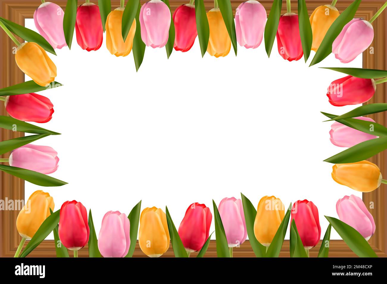 Multicolored tulips over a wooden frame. Frame with copy space. Concept of mother's day, valentine's day, women's day. Vector image. Stock Vector