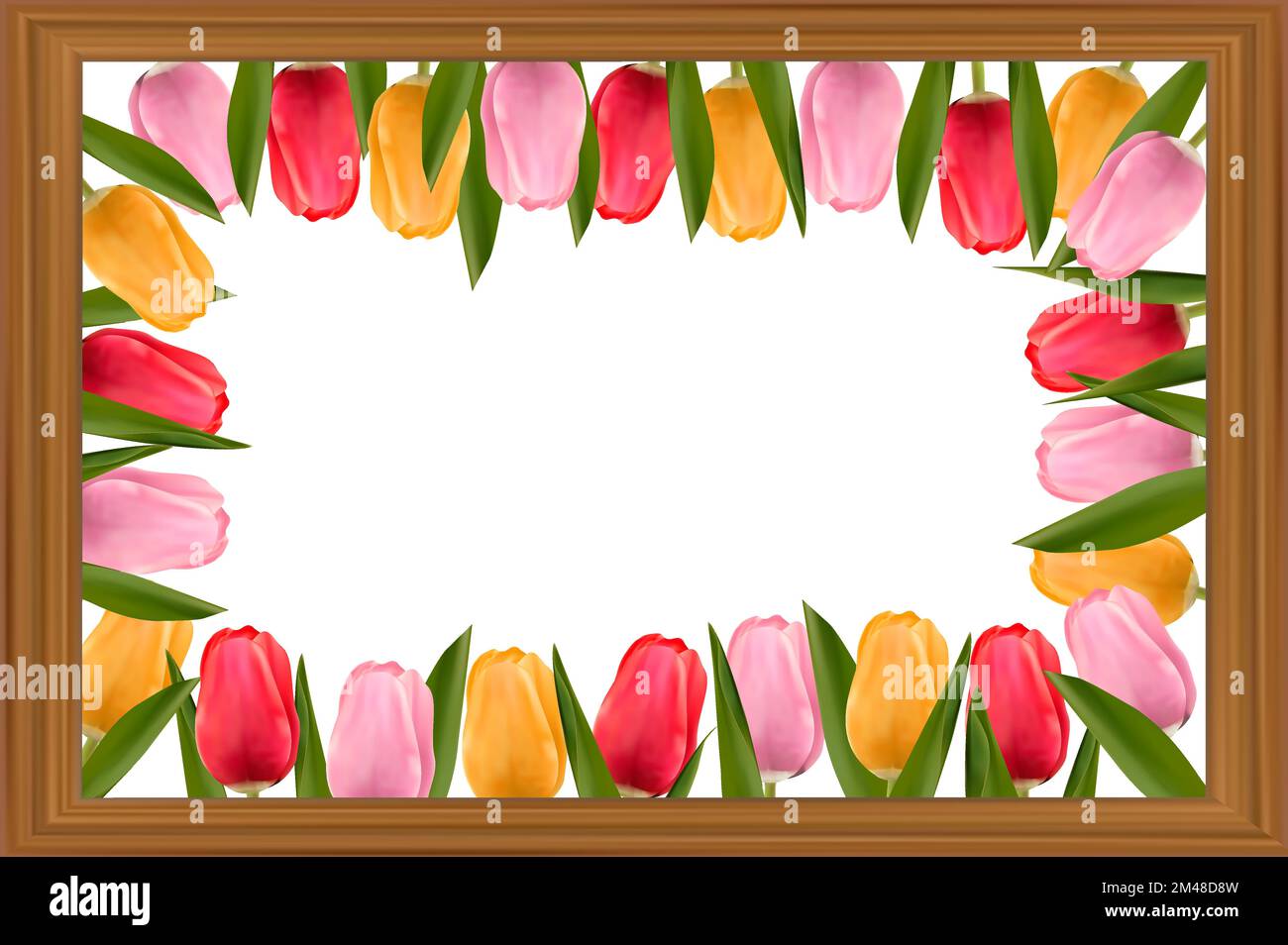 Multicolored tulips inside a wooden frame. Background for banners, posters, postcards. Concept of mother's day, valentine's day, women's day. Vector image. Stock Vector