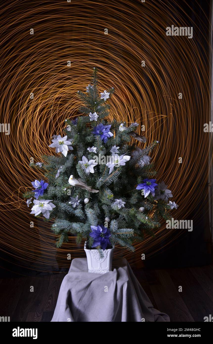 Christmas tree. Stock picture. Stock Photo
