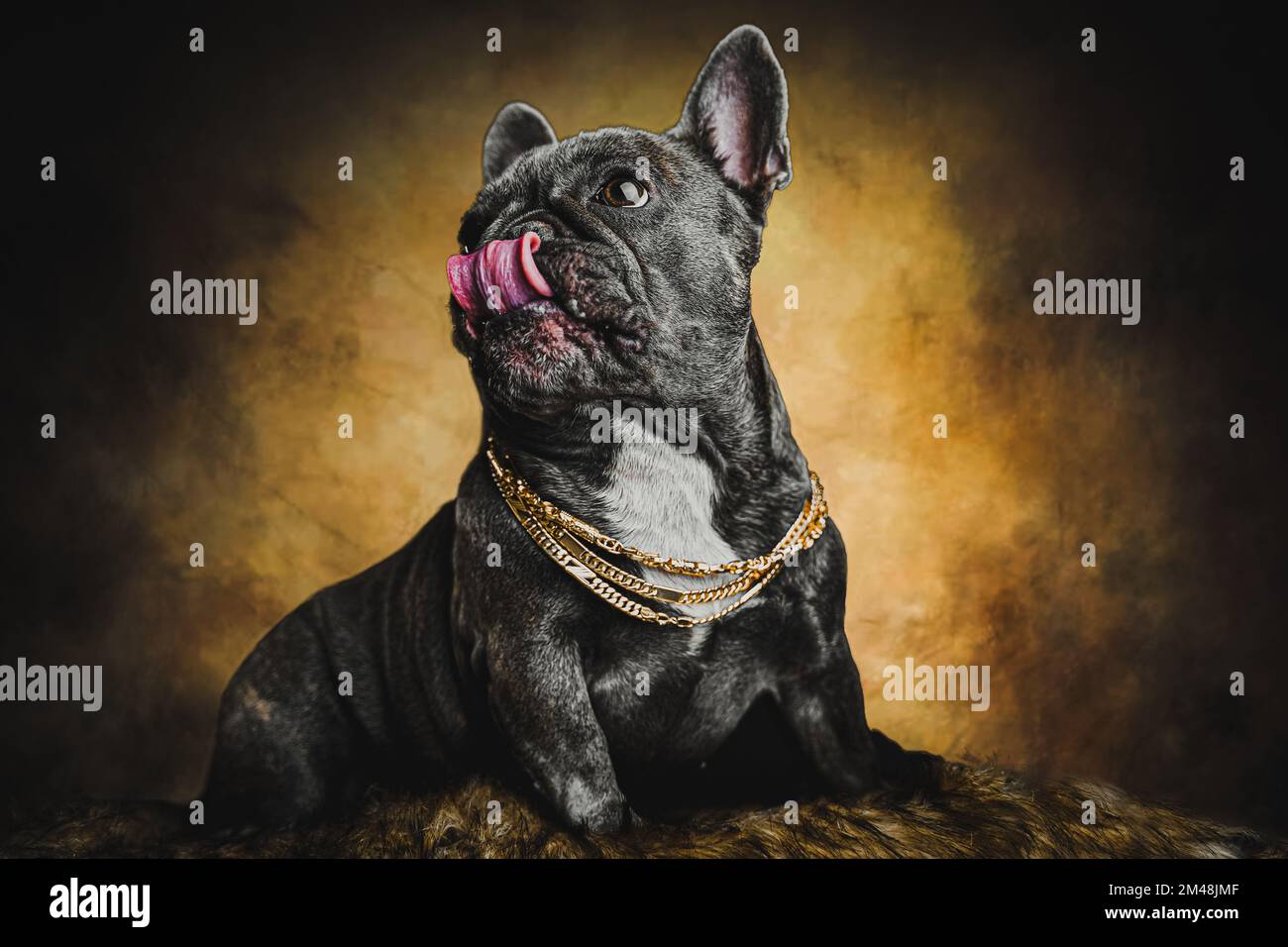 Gold chains hi-res stock photography and images - Alamy