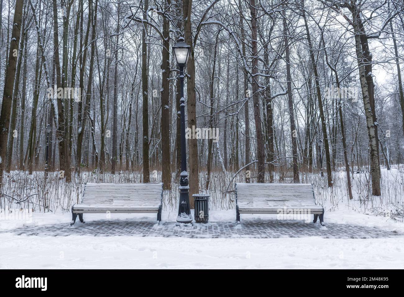 Park bench in alley and trees covered by heavy snow. Winter landscape. Stock Photo
