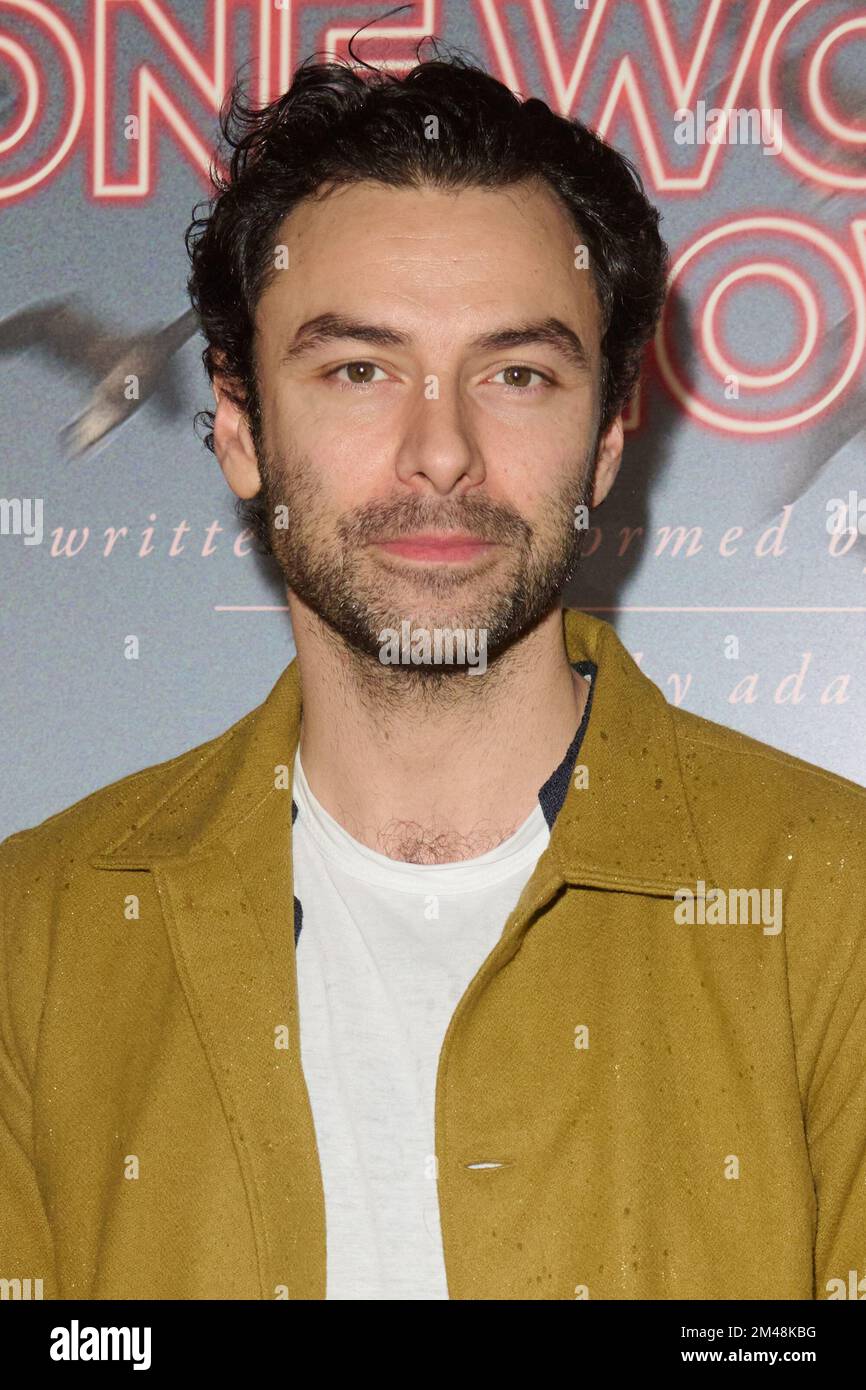 London, UK . 19 December, 2022 . Aidan Turner pictured at the Liz