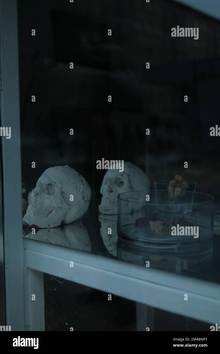 A vertical shot of old human skulls in an archaeological museum Stock Photo